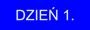 DZIEŃ 1. NOWENNY DO OPATRZNOŚCI BOŻEJ