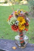 Matki Bożej Zielnej