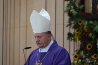 bp. Pikus