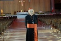 kardynał Nycz